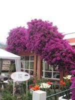 Mittagspause im Restaurant 