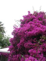 Mittagspause im Restaurant 