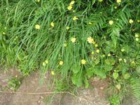 Wanderung Vereda dos Balcões 