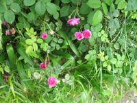 Wanderung Vereda dos Balcões 