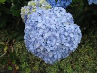 Mittagspause im Restaurant 