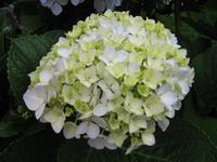 Mittagspause im Restaurant 