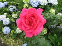 Mittagspause im Restaurant 