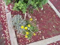 Foto-Stopp mit Blick auf den Penha de Águia (Adlerfelsen)