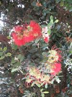 Foto-Stopp mit Blick auf den Penha de Águia (Adlerfelsen)