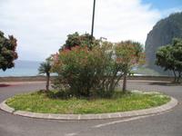 Foto-Stopp mit Blick auf den Penha de Águia (Adlerfelsen)
