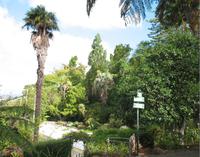 Botanische Garten 