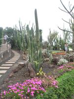 Botanische Garten 