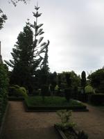Botanische Garten 
