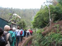 Wanderung Curral dos Romeiros