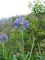 Wanderung Curral dos Romeiros