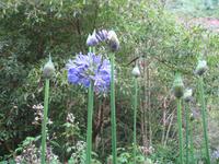 Wanderung Curral dos Romeiros