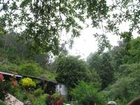 Wanderung Curral dos Romeiros