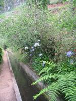 Wanderung Curral dos Romeiros