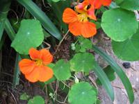 Wanderung Curral dos Romeiros