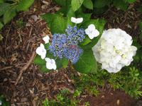 Wanderung Curral dos Romeiros