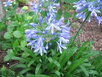 Wanderung Curral dos Romeiros