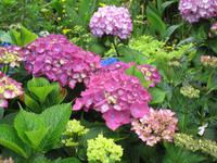 Wanderung Curral dos Romeiros