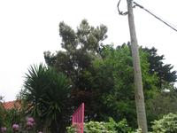 Wanderung Curral dos Romeiros