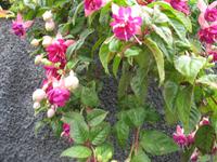 Wanderung Curral dos Romeiros