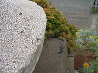 Miradouro Pico dos Barcelos