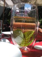 Schokoladen-Verkostung im Kräutergarten von Maria João