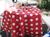 Schokoladen-Verkostung im Kräutergarten von Maria João