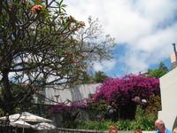 Schokoladen-Verkostung im Kräutergarten von Maria João