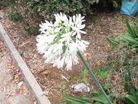 Schokoladen-Verkostung im Kräutergarten von Maria João
