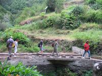 Fakultative Halbtägige Wanderung Levada dos Marroços