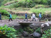 Fakultative Halbtägige Wanderung Levada dos Marroços