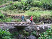 Fakultative Halbtägige Wanderung Levada dos Marroços