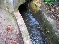 Fakultative Halbtägige Wanderung Levada dos Marroços