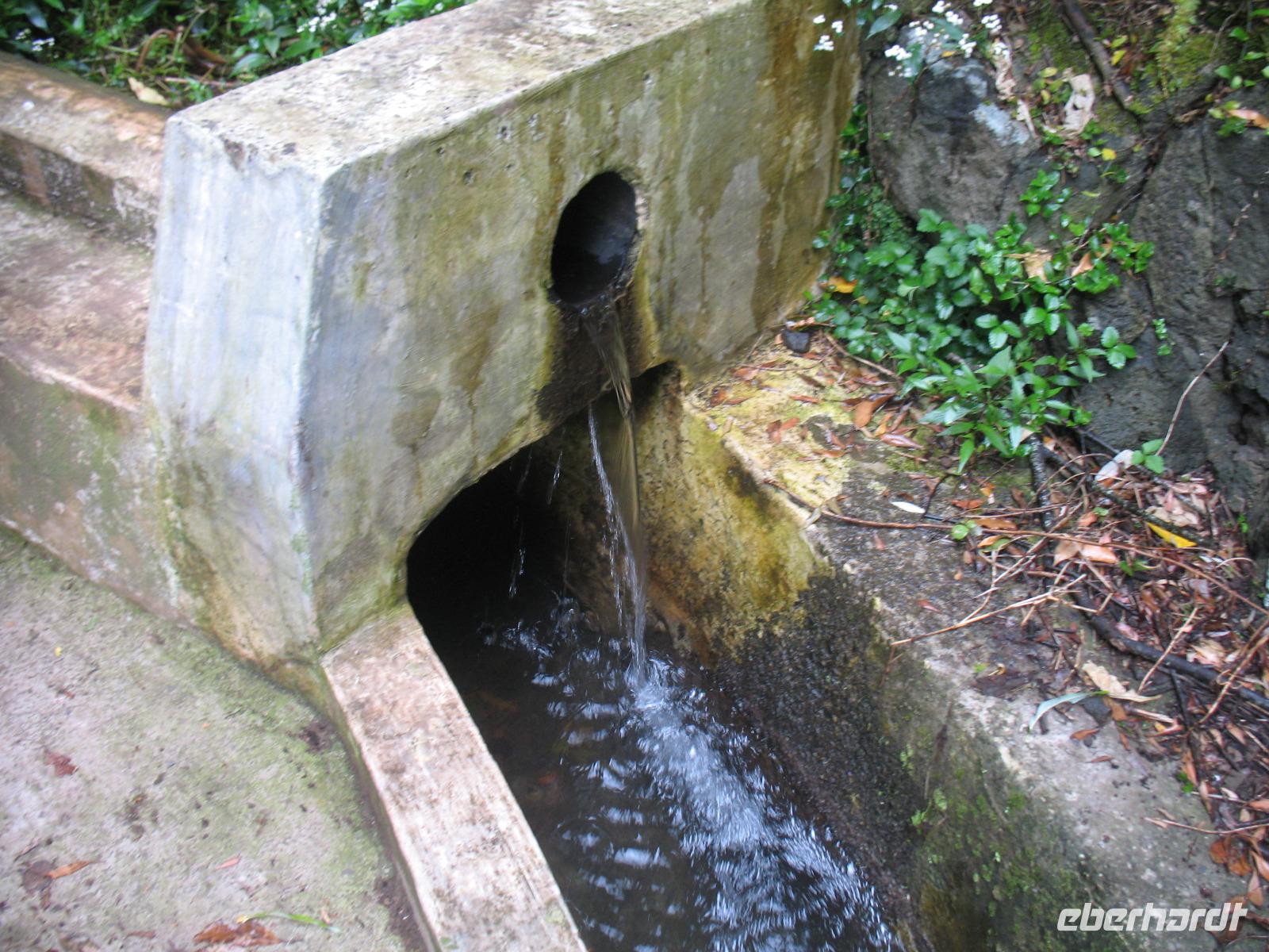 Fakultative Halbtägige Wanderung Levada dos Marroços