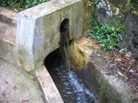 Fakultative Halbtägige Wanderung Levada dos Marroços