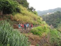 Fakultative Halbtägige Wanderung Levada dos Marroços