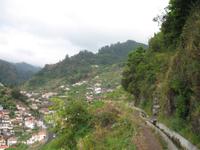 Fakultative Halbtägige Wanderung Levada dos Marroços