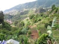 Fakultative Halbtägige Wanderung Levada dos Marroços