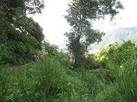 Fakultative Halbtägige Wanderung Levada dos Marroços