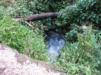 Fakultative Halbtägige Wanderung Levada dos Marroços