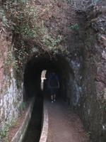 Fakultative Halbtägige Wanderung Levada dos Marroços