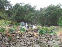 Fakultative Halbtägige Wanderung Levada dos Marroços