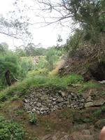 Fakultative Halbtägige Wanderung Levada dos Marroços