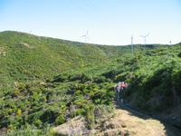 Wanderung Levada do Paul