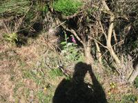 Wanderung Levada do Paul