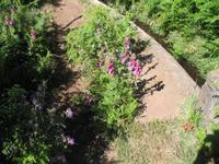 Wanderung Levada do Paul