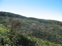 Wanderung Levada do Paul