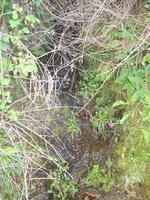 Wanderung Levada do Paul