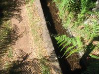 Wanderung Levada do Paul