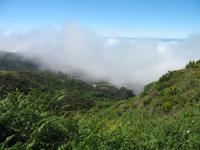 Wanderung Levada do Paul